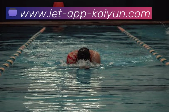 开云app服务体系